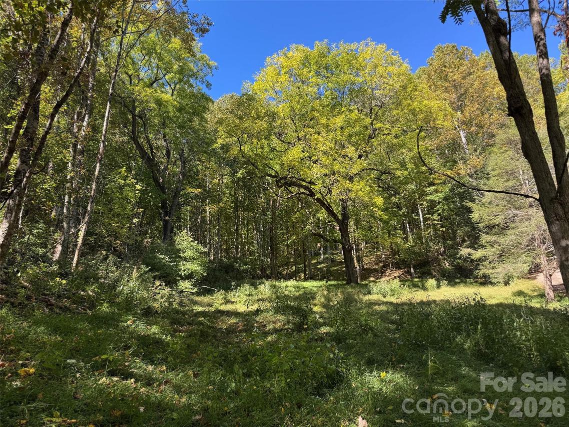 LT 18 Silverbell Ln. #18, Waynesville, NC 28786