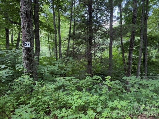Lot 37 Odalu Tr. #37, Maggie Valley, NC 28751