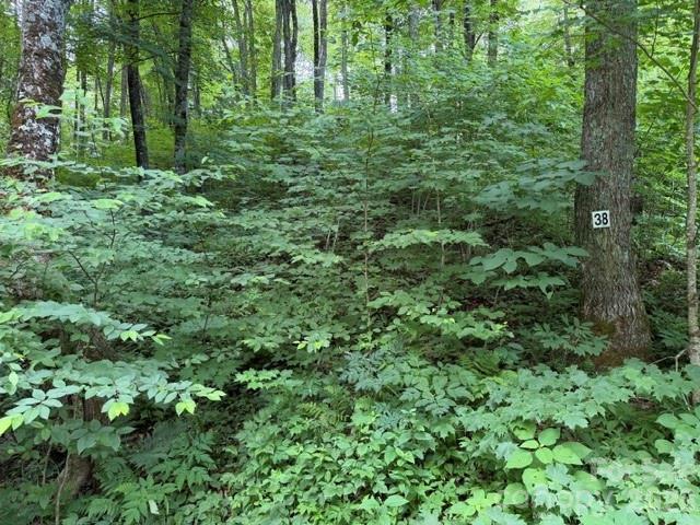 Lot 38 Yanasa Tr. #38, Maggie Valley, NC 28751