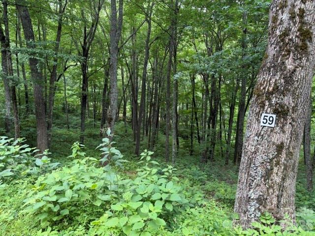 Lot 59 Odalu Tr. #59, Maggie Valley, NC 28751
