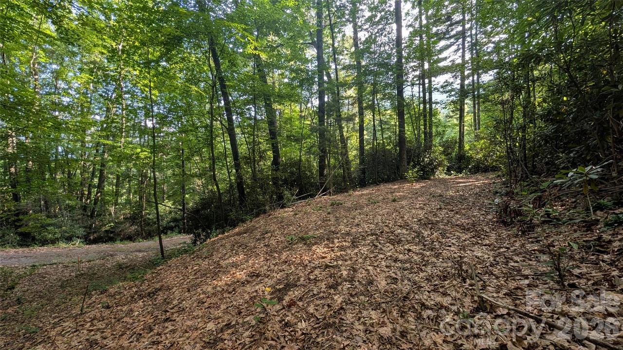 00 Chestnut Walk #3,4,5, Waynesville, NC 28786