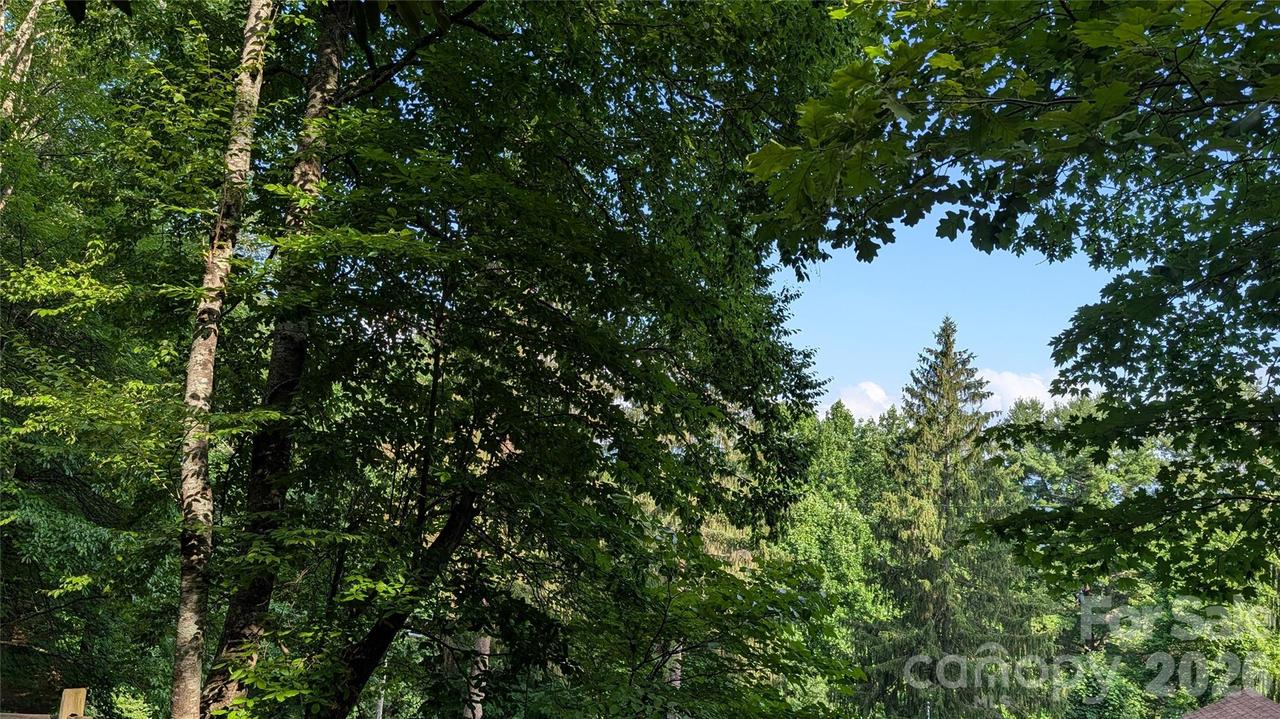 00 Chestnut Walk #6,7,8, Waynesville, NC 28786