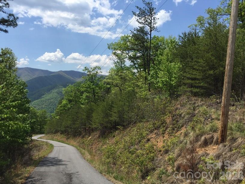 225 Lucerne Dr., Canton, NC 28716