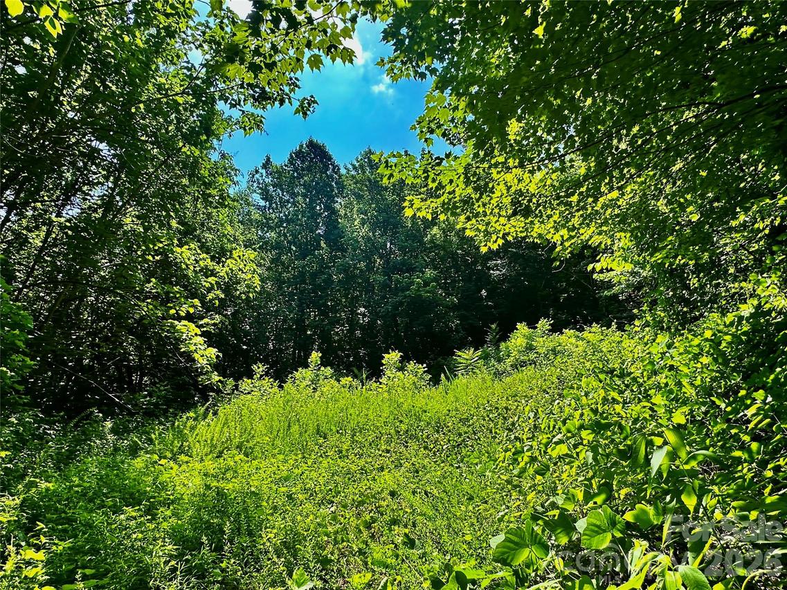 75 Fork Creek Rd., Saluda, NC 28773