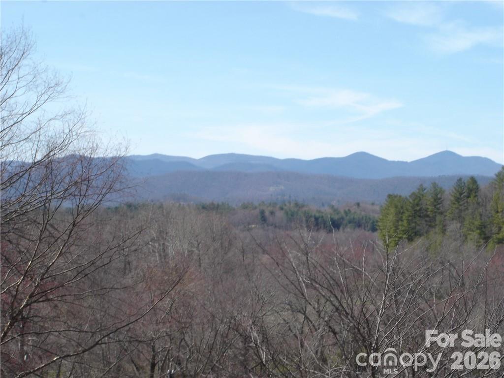 Lot #12 Cummings Cove Pkwy. #12, Hendersonville, NC 28739