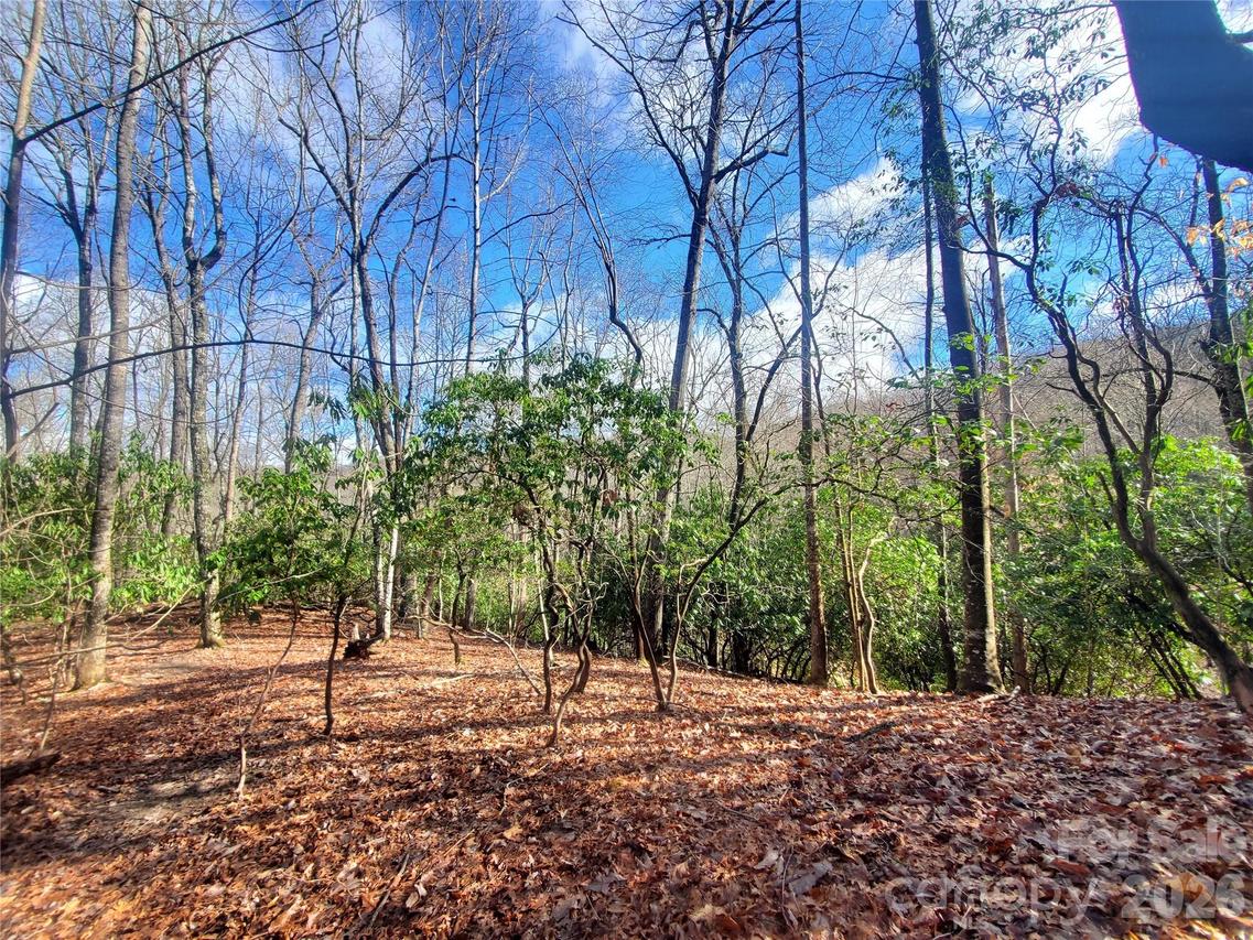TBD Skye Dr. #803a & 803b, Pisgah Forest, NC 28768