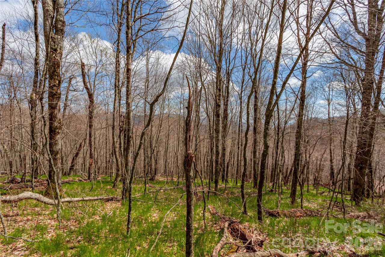 lots 4,5 & 7 Mule Trail Dr., Bakersville, NC 28705