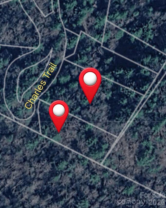 0000 Charles Tr., Hendersonville, NC 28792