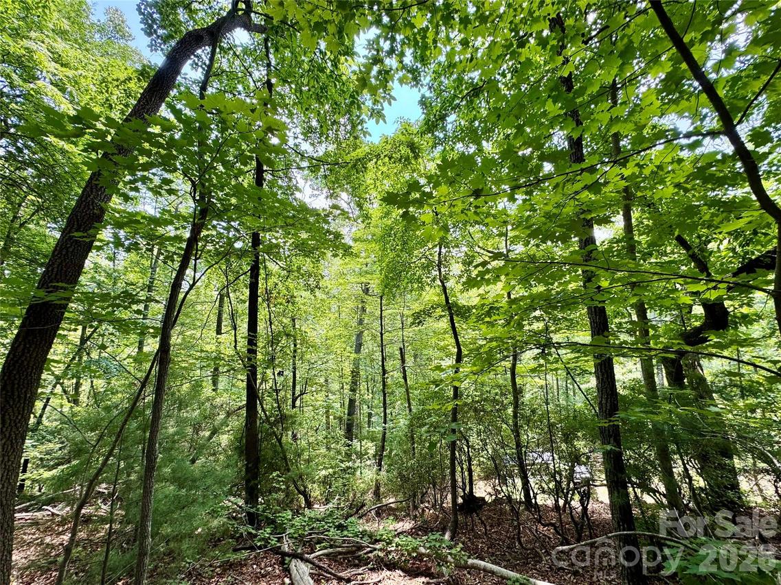 Lot 23 Bear Track Ln. #23, Lenoir, NC 28645