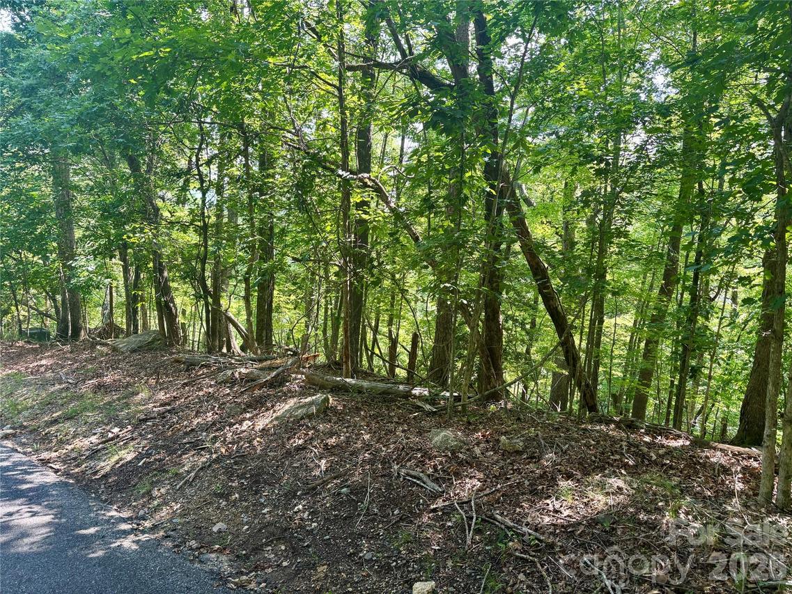 Lot 13 Crab Apple Ct., Lake Lure, NC 28746