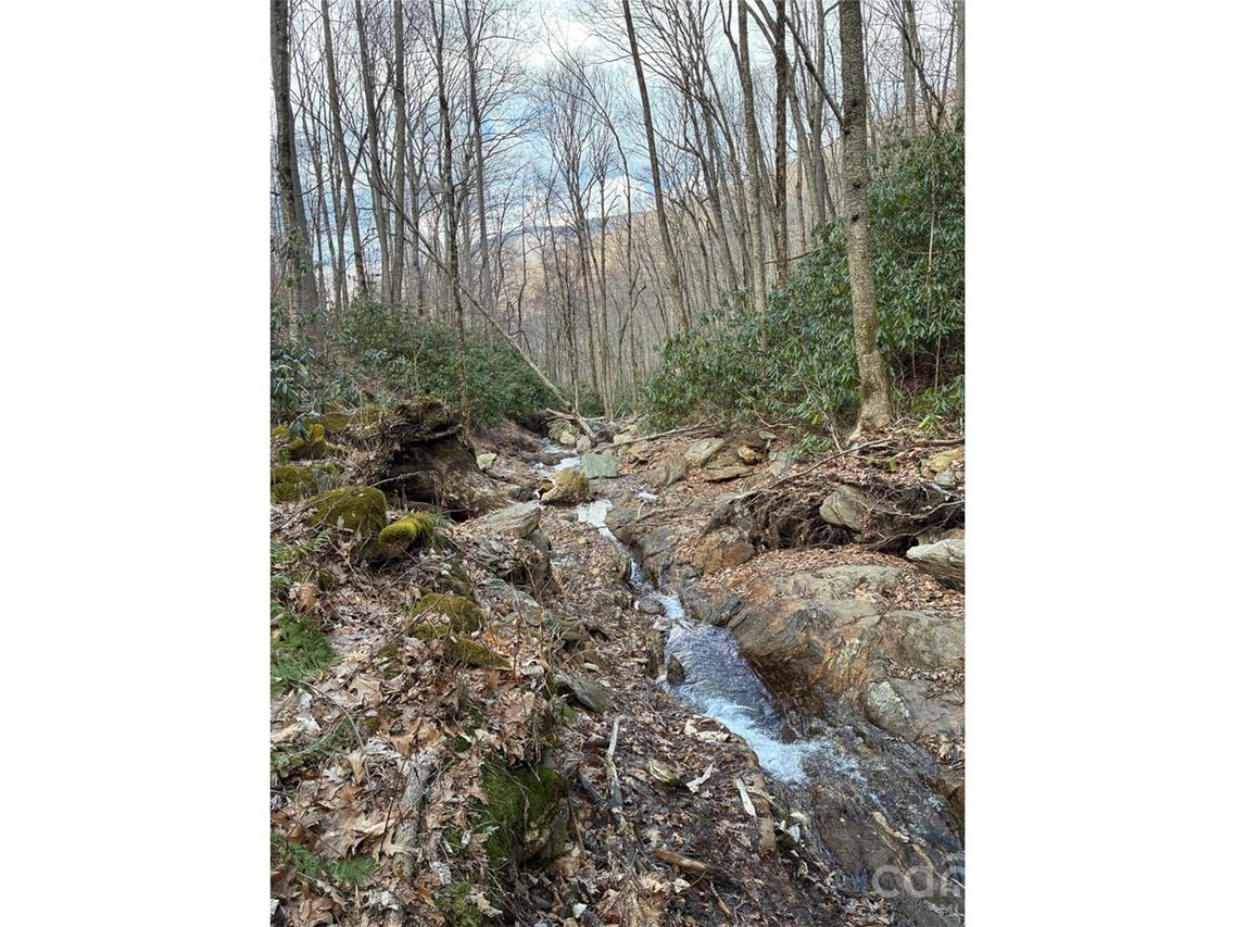 000 Ogles Gap Rd., Burnsville, NC 28714