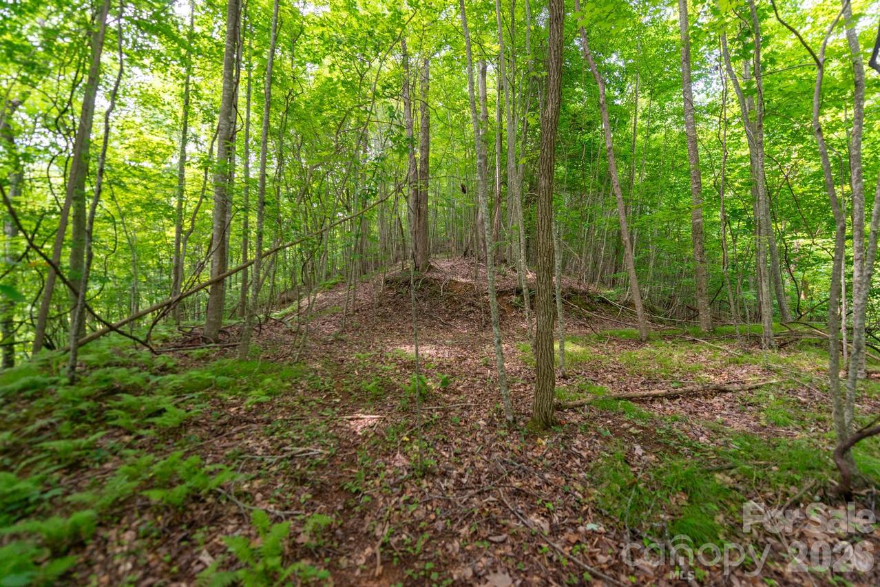 ### Board Tree Rd. #2, Marshall, NC 28753