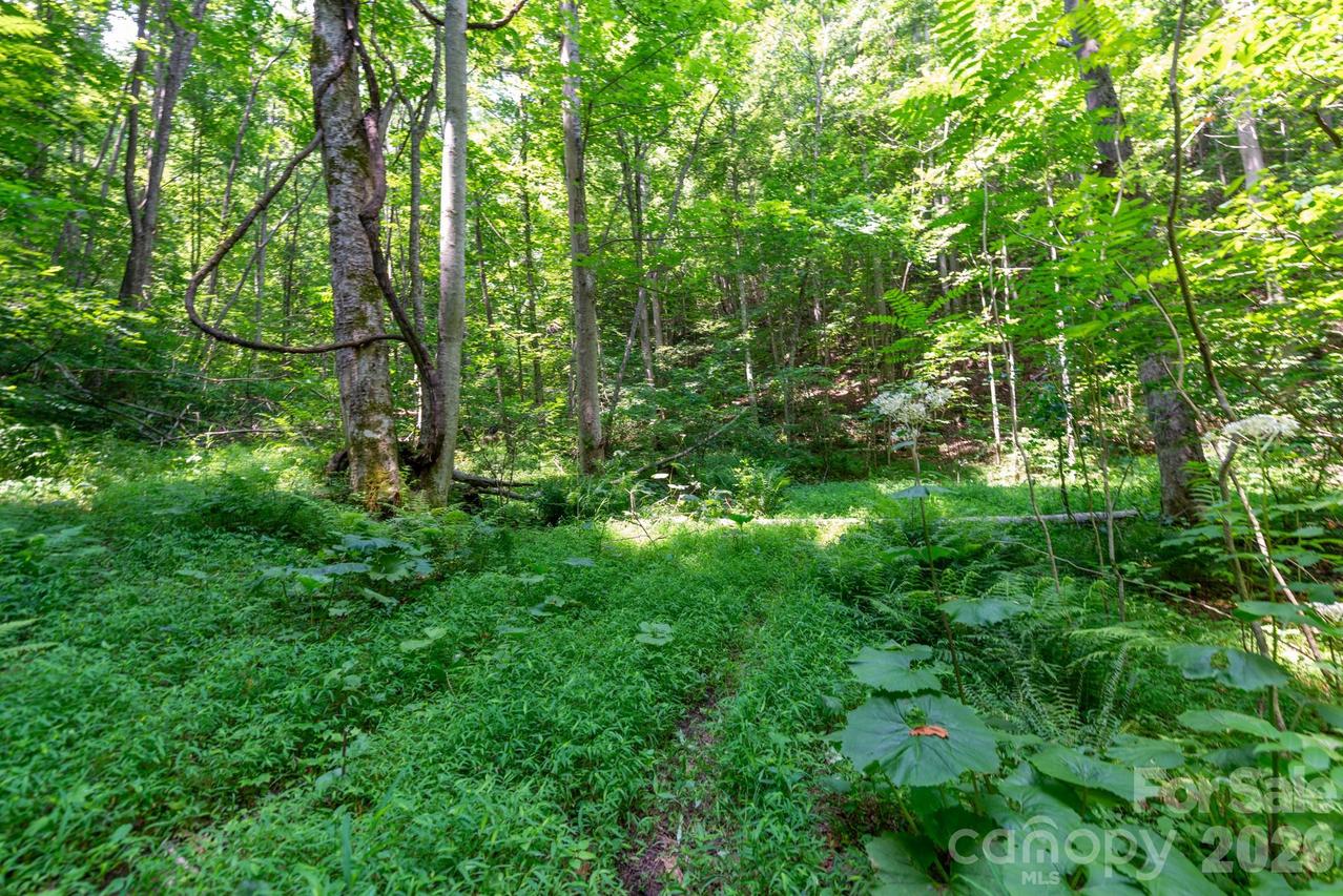 ### Board Tree Rd. #3, Marshall, NC 28753