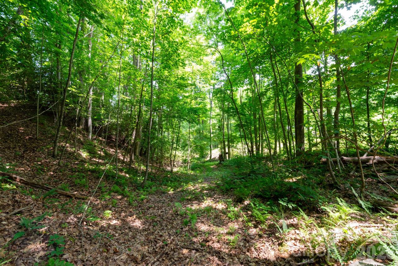 ### Board Tree Rd. #4, Marshall, NC 28753