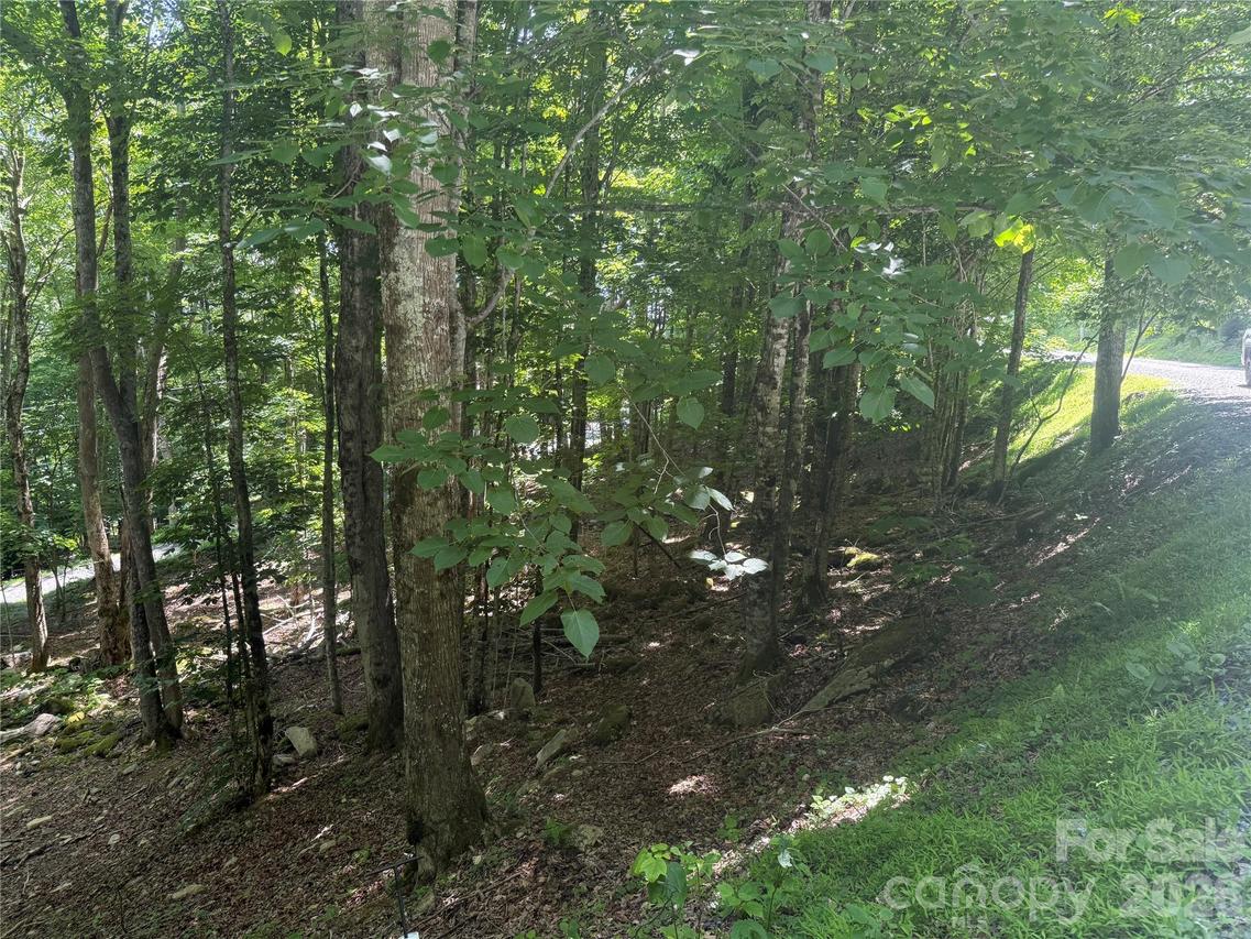 200 Wild Daisy Rd., Beech Mountain, NC 28604