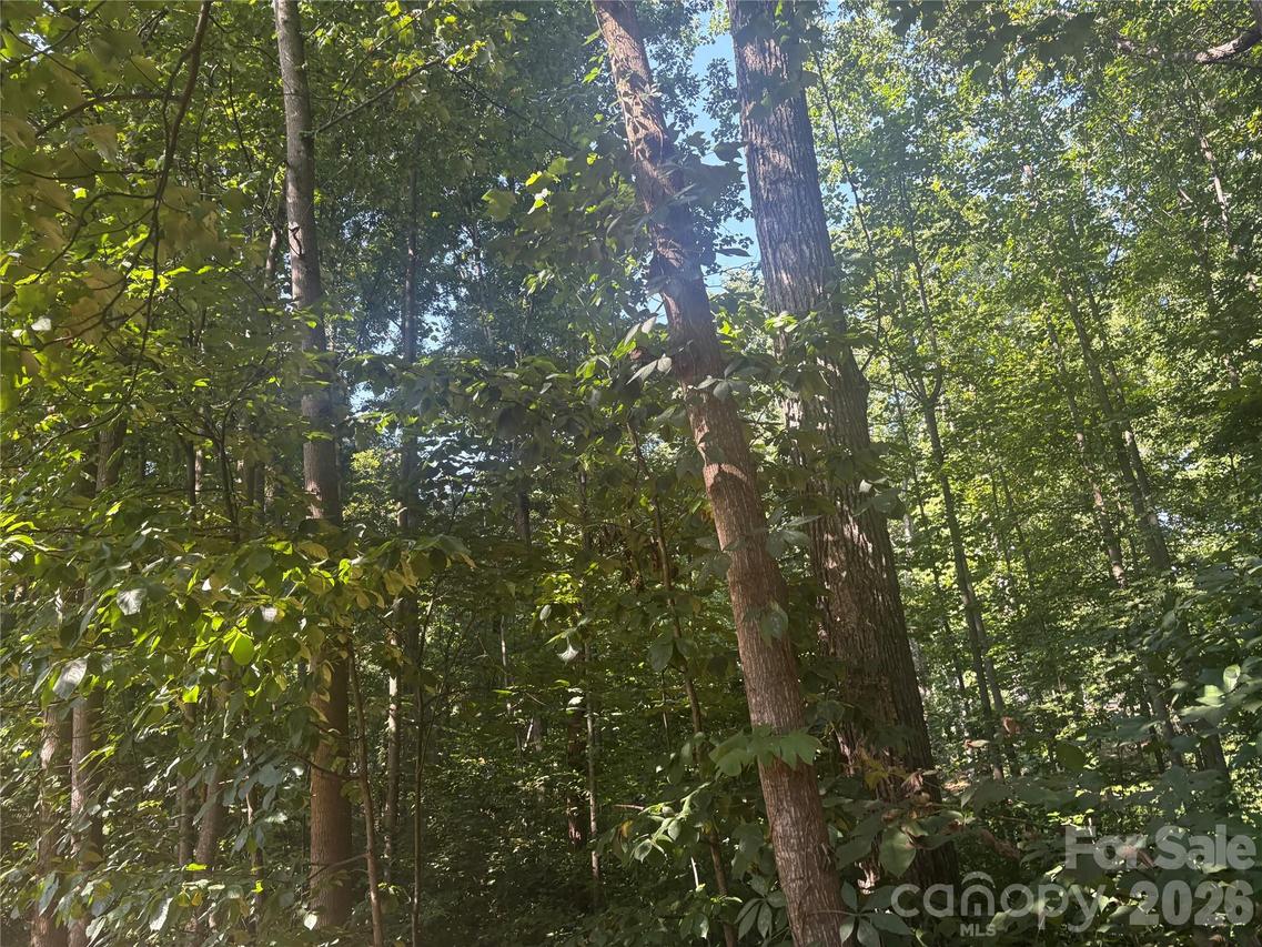 427 Deauville Rd., Statesville, NC 28625
