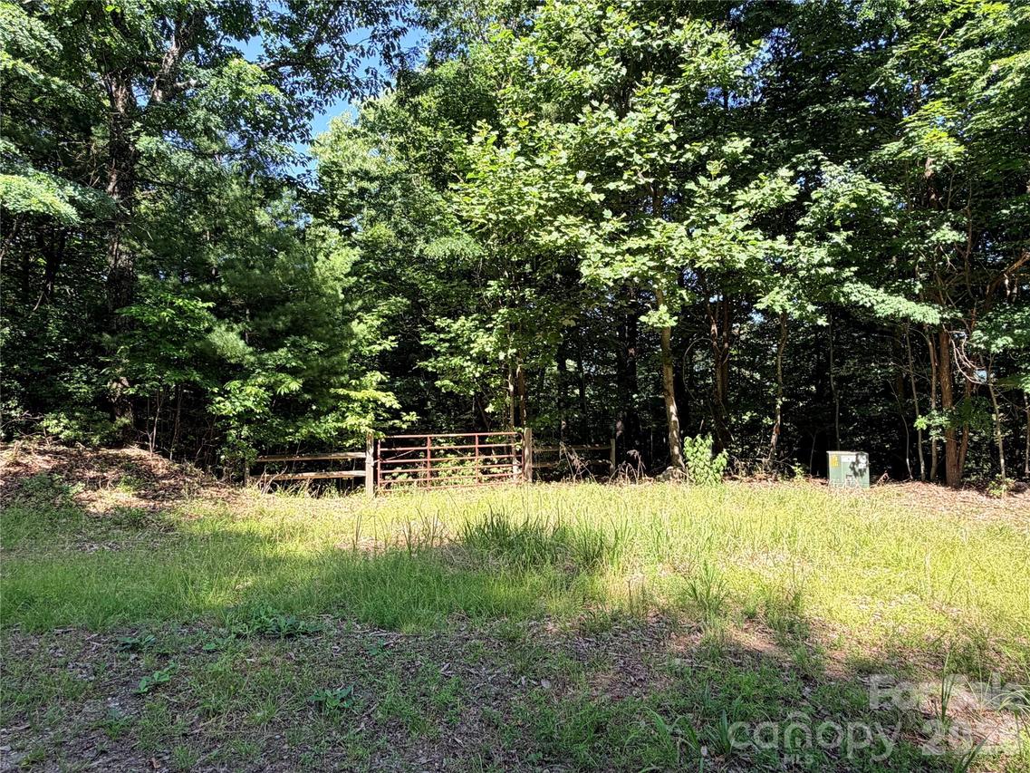 TBD Blue Rock Rd. #171 & 172B, Purlear, NC 28665