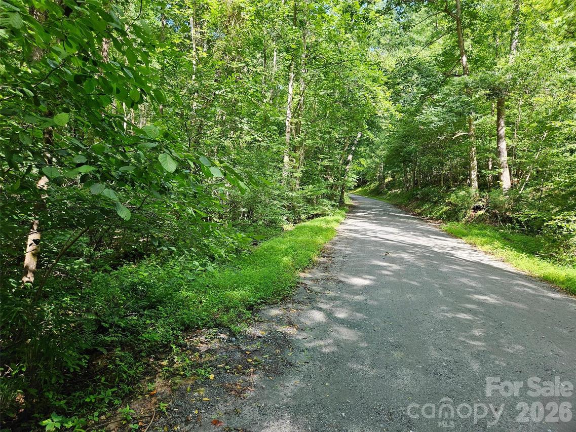 Sandpiper Ave. #163, Lake Lure, NC 28746