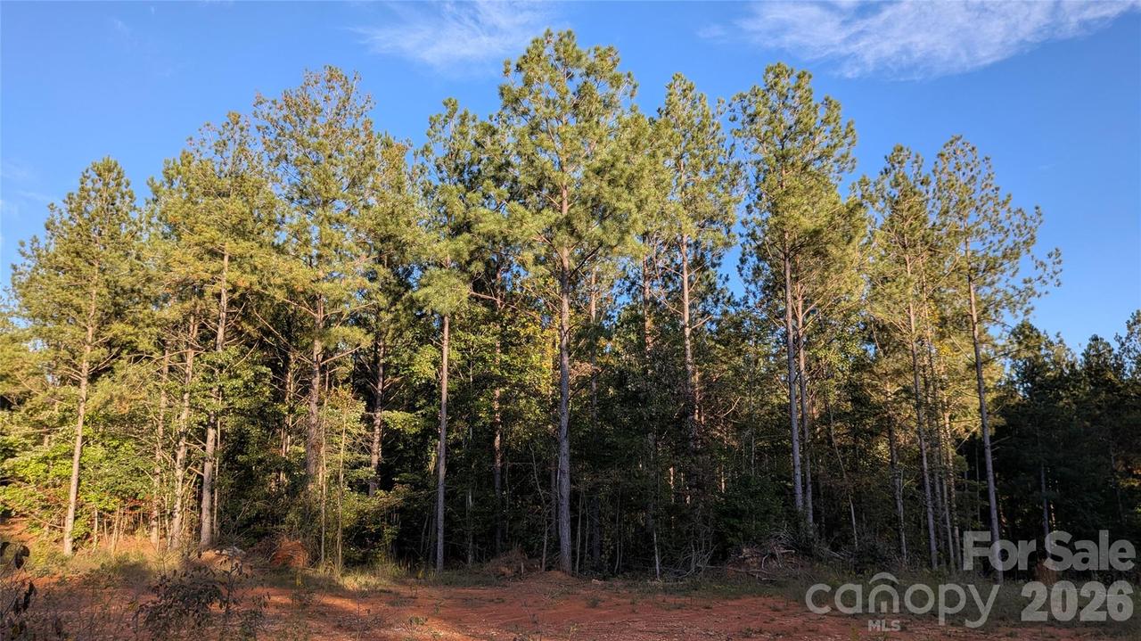 2939 Nc Hwy 134 Hwy., Troy, NC 27371