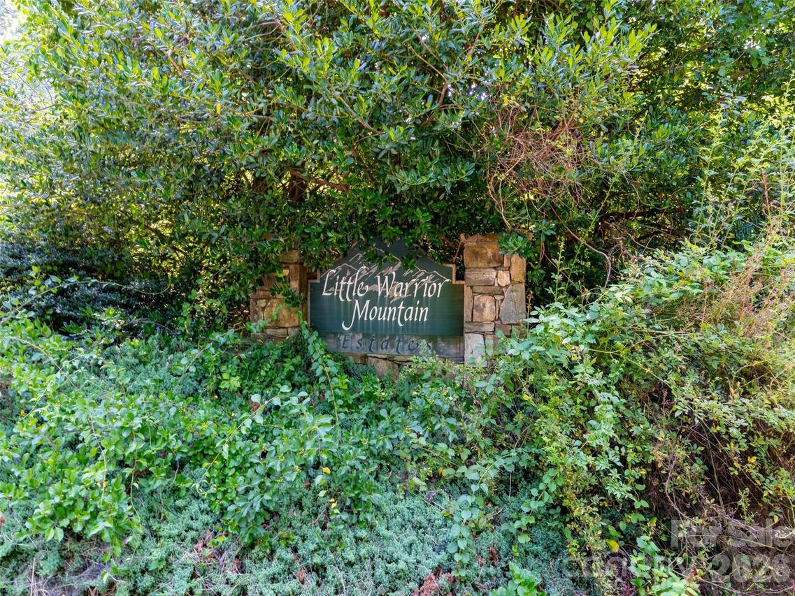 00 Rhododendron Dr. #15 & 16, Saluda, NC 28773