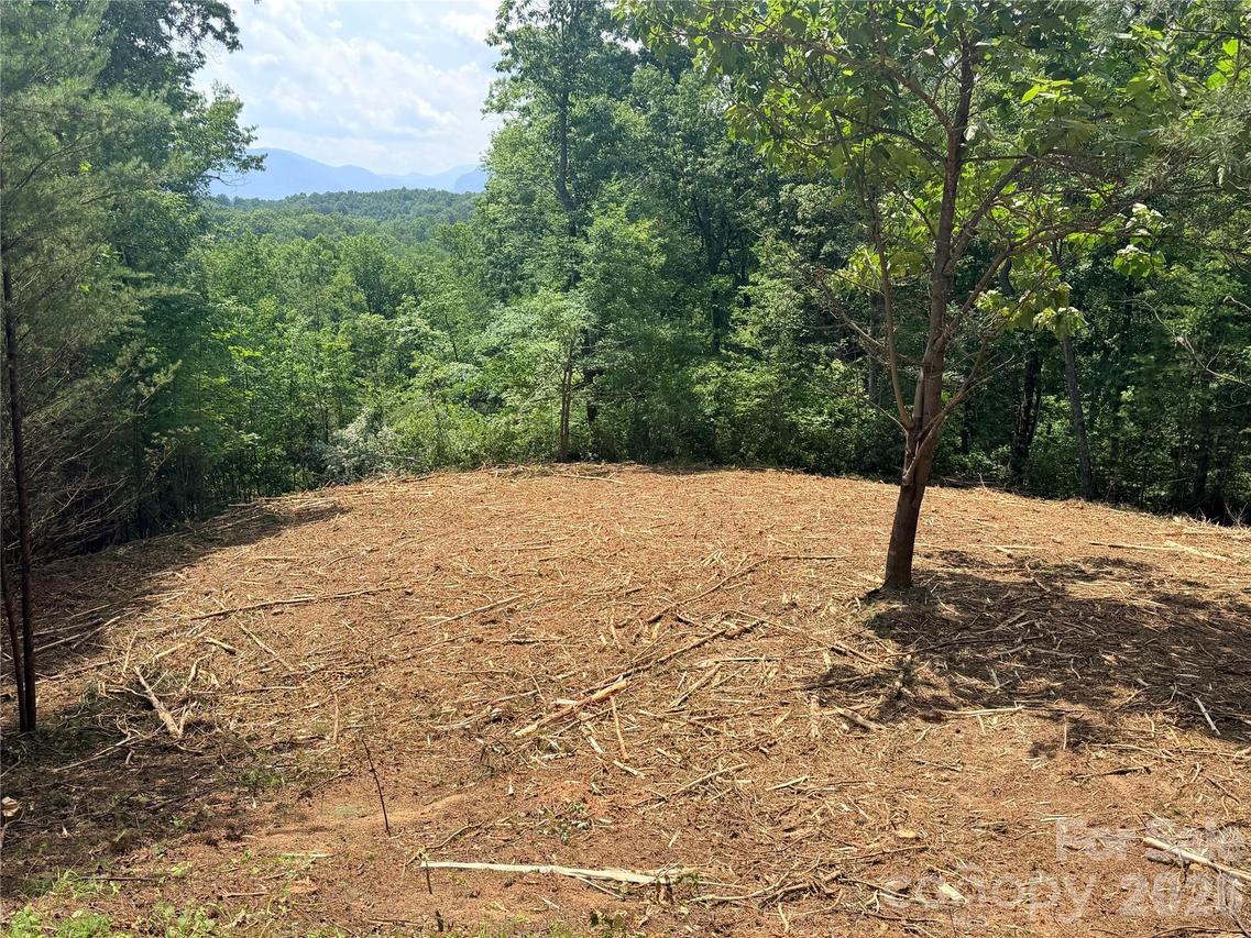 Rock Ledge Dr. #247, Lake Lure, NC 28746