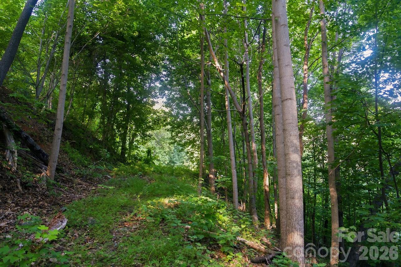 00 Ragans Pointe Pointe #58, Columbus, NC 28722