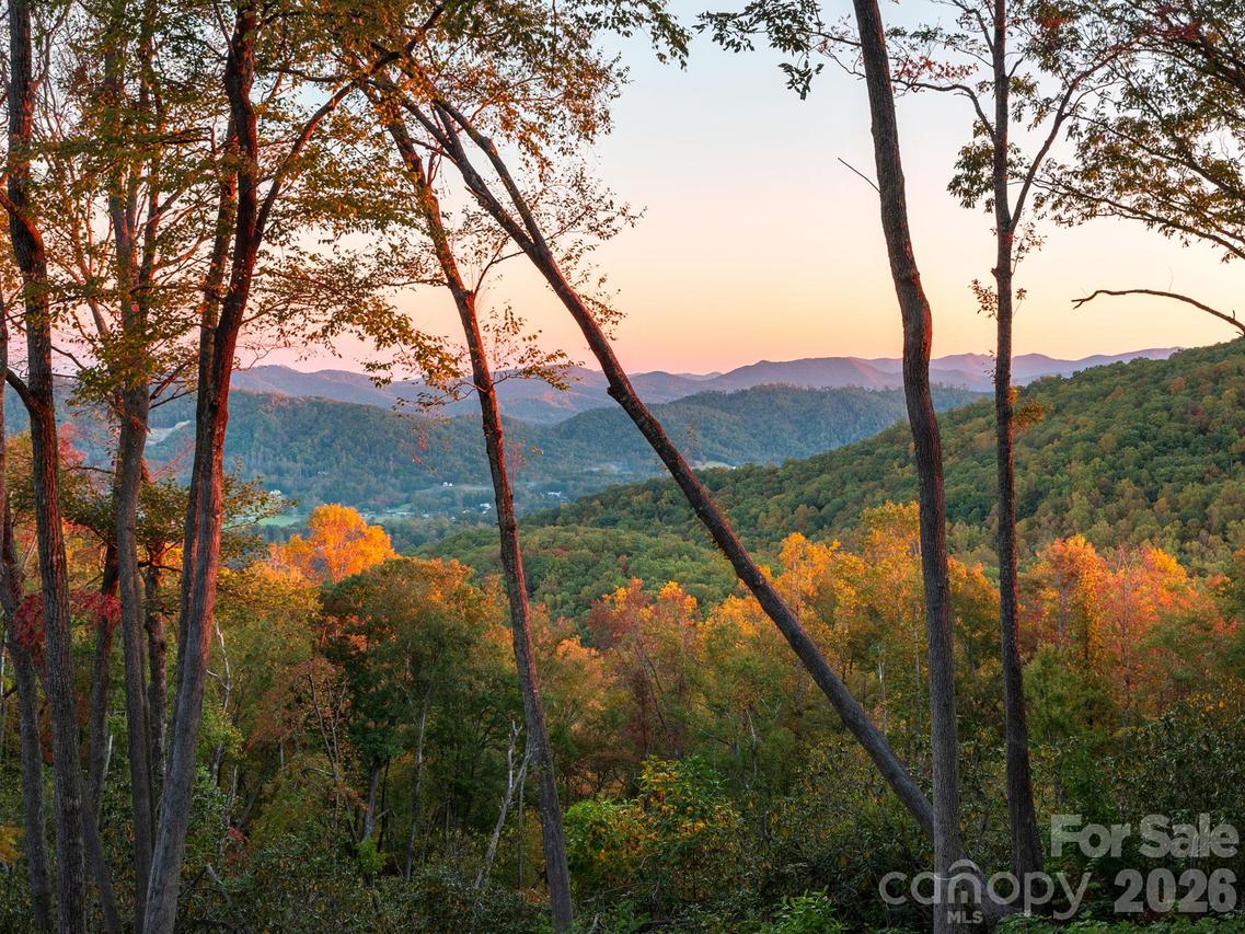202 Hemlock Grove Tr. #51, Hendersonville, NC 28792