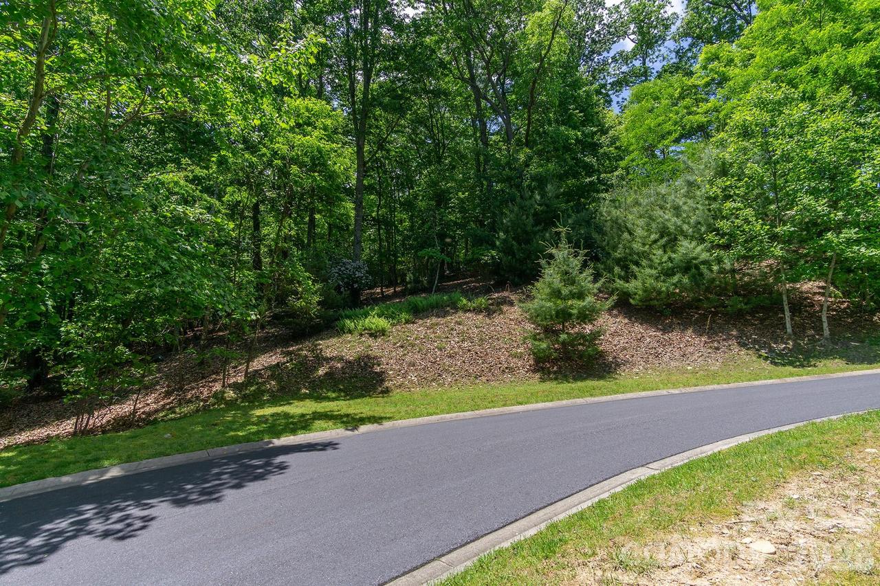 lot 53R Mills River Way #Lot 53R, Horse Shoe, NC 28742