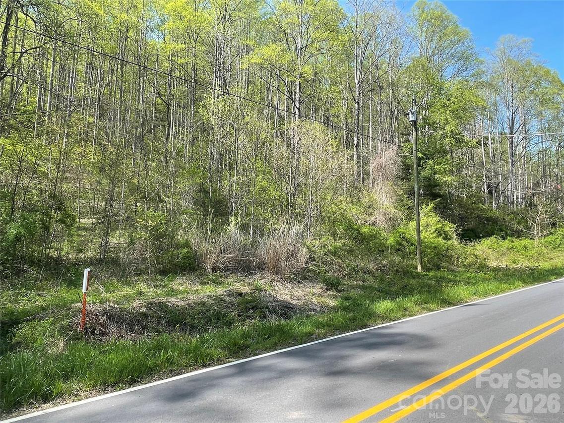 99999 Martins Creek Rd., Barnardsville, NC 28709