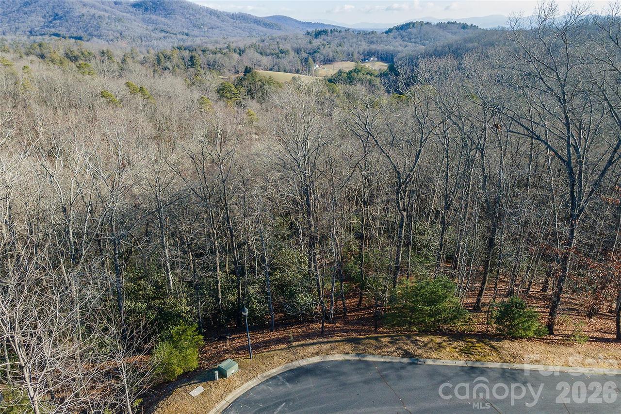 80 Buckhead Tr. #27, Horse Shoe, NC 28742