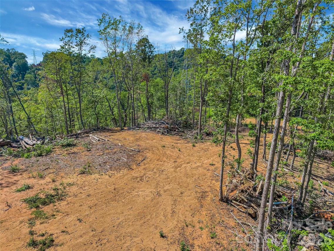 TBD Early Rd., Saluda, NC 28773