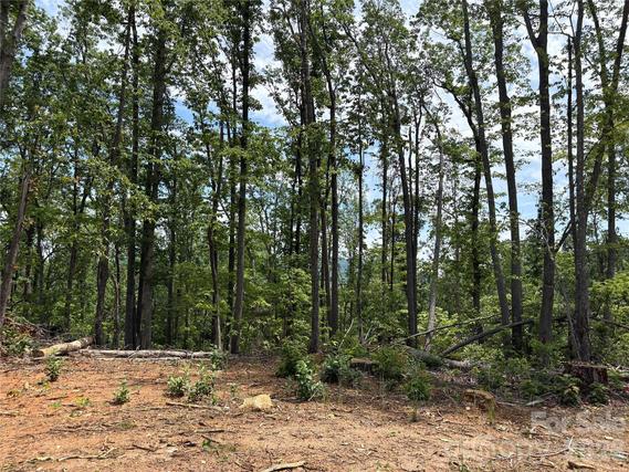 New Homes For Sale This Week That Attend Saluda Elementary School: July 17th to July 23rd