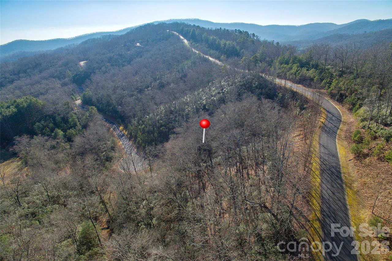 9999 Mayfly Ln. #106, Horse Shoe, NC 28742