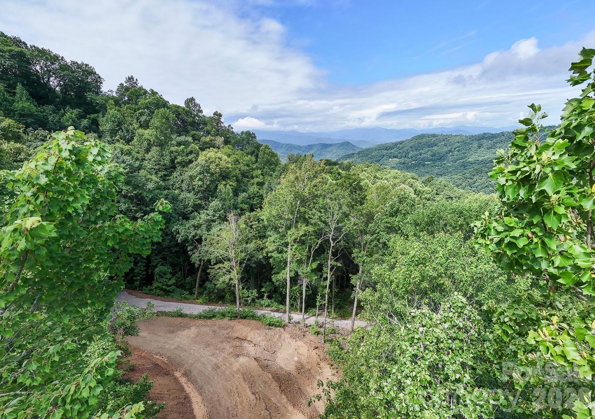 00 Falls View Dr. #50, Bryson City, NC 28713
