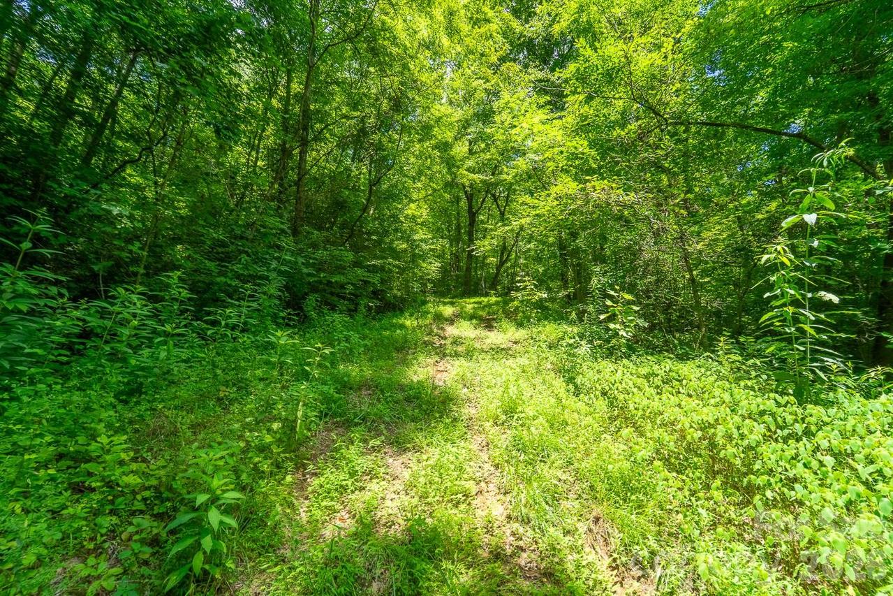 TBD Indian Flats Dr., Sylva, NC 28779