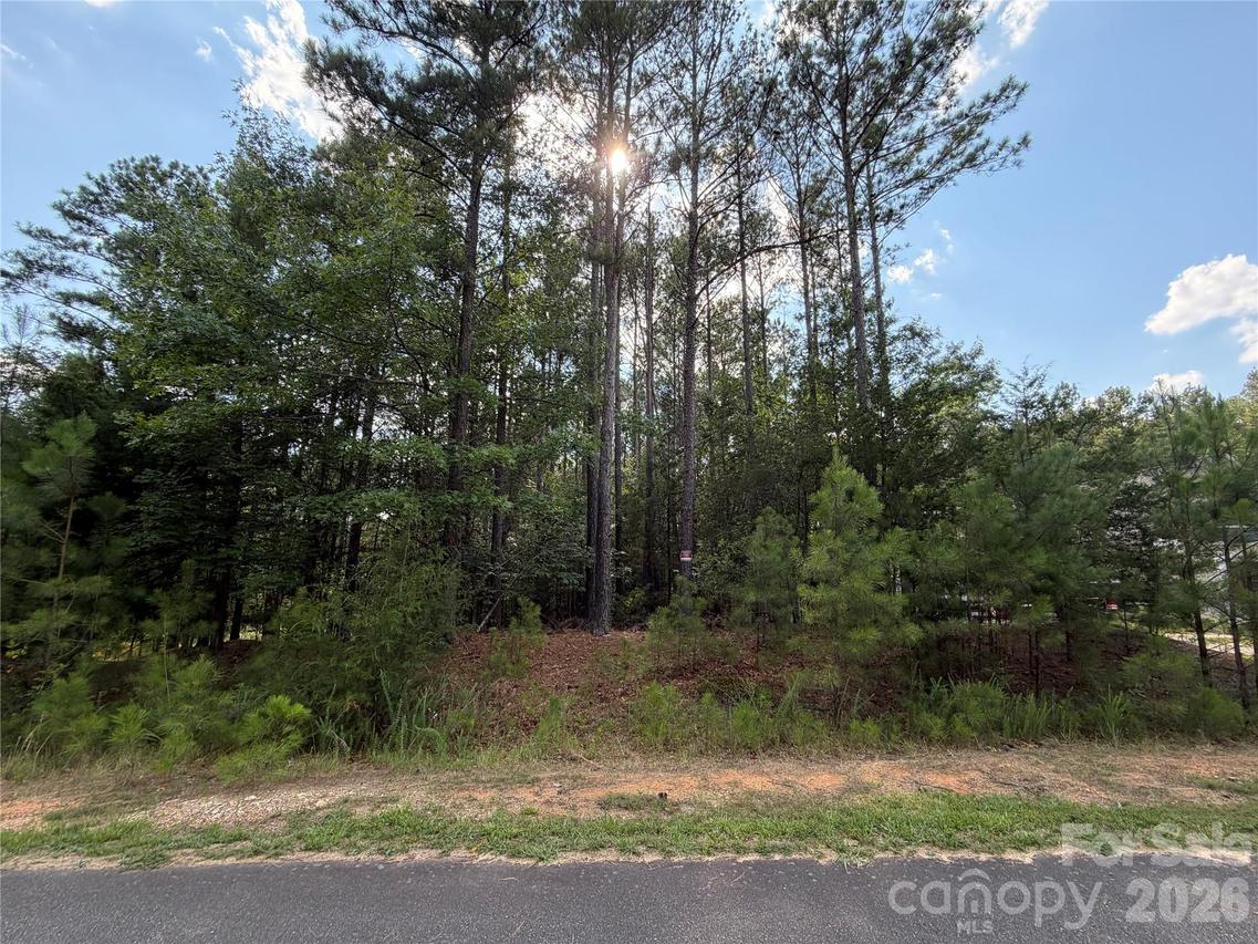 9212 Rustic Creek Tr., Waxhaw, NC 28173