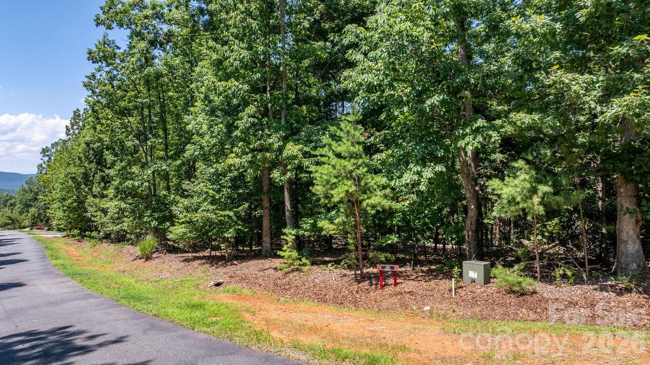 152 Woodgate Tr. #95, Nebo, NC 28761