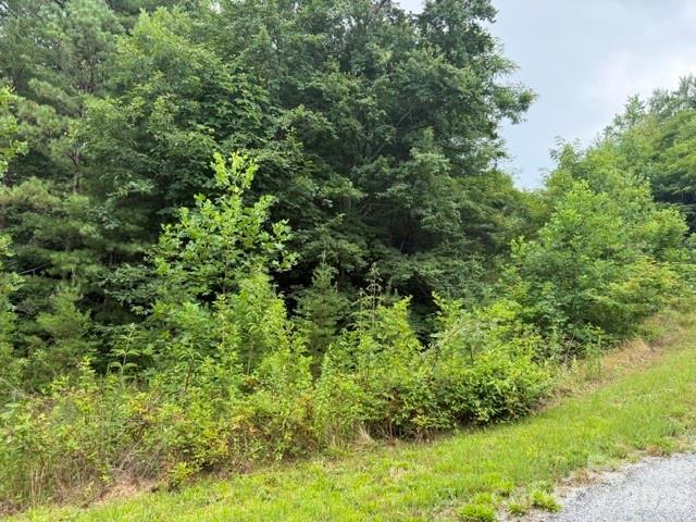 12 Silverstone Dr., Hendersonville, NC 28792