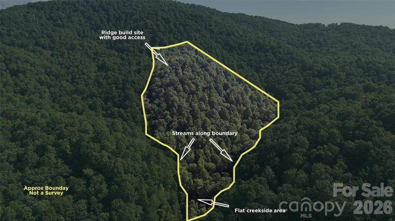 454 Forest Brook Rd., Black Mountain, NC 28711
