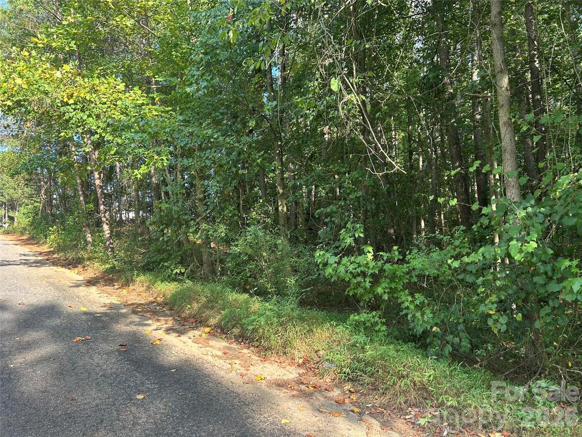 00 Knottywood Ln. #25, Vale, NC 28168