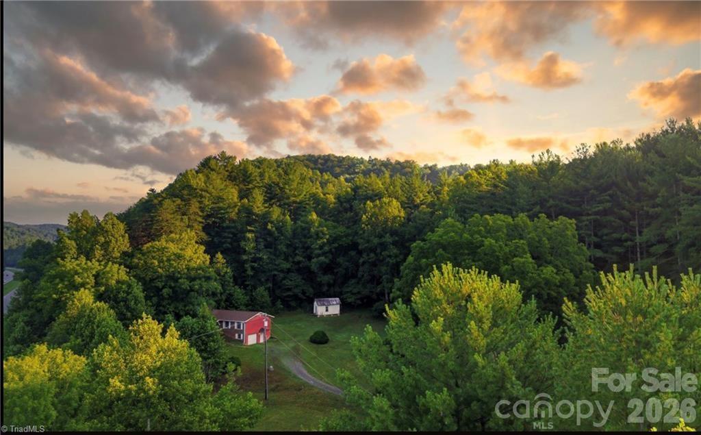 11526 Us Highway 421 None, Purlear, NC 28665