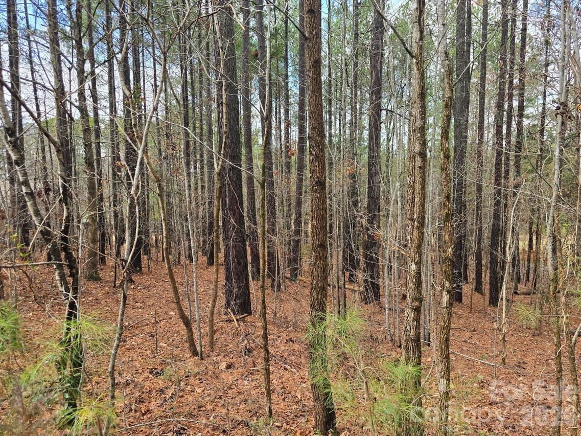 225 Cove Wood Dr., Denton, NC 27239