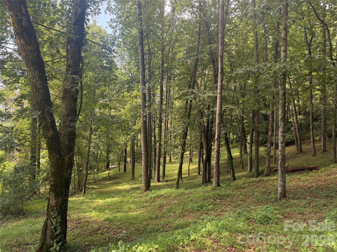 89 Split Rock Tr. #56, Arden, NC 28704