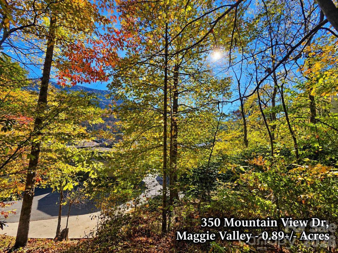 350 Mountain View Dr., Maggie Valley, NC 28751
