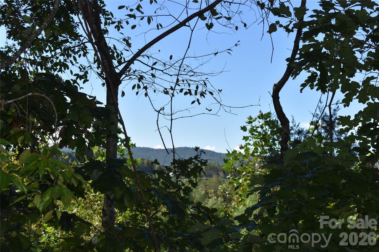 120 Woodmont Dr., Nebo, NC 28761