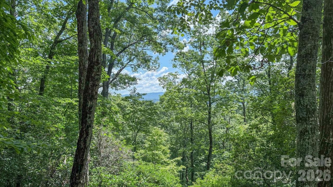 TBD Stone Dr. #L40, Brevard, NC 28712