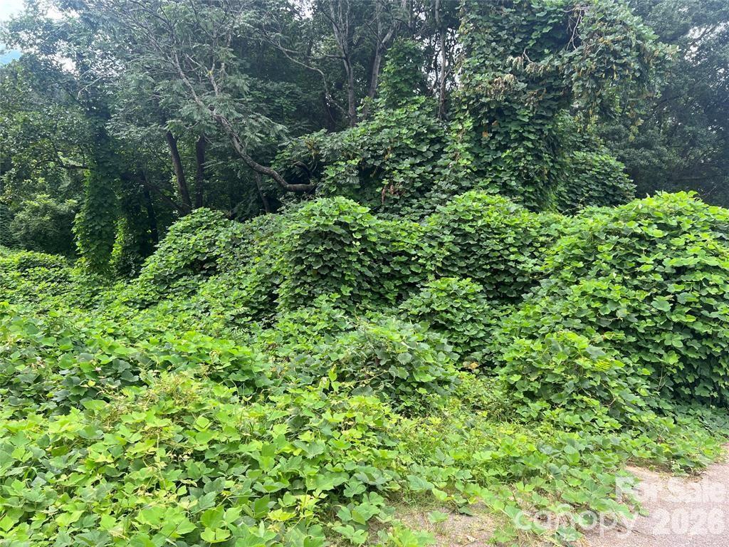 Wisconsin St., Spindale, NC 28160