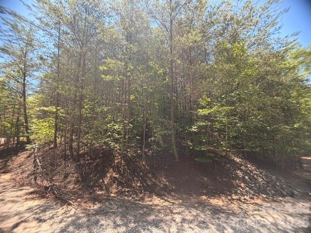 00 Sundance Dr. #5-IV, Nebo, NC 28761