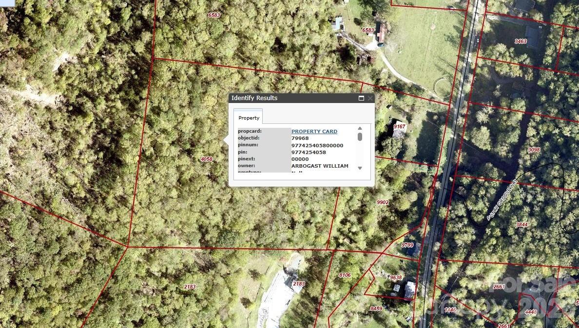 99999 Paint Fork Rd., Barnardsville, NC 28709