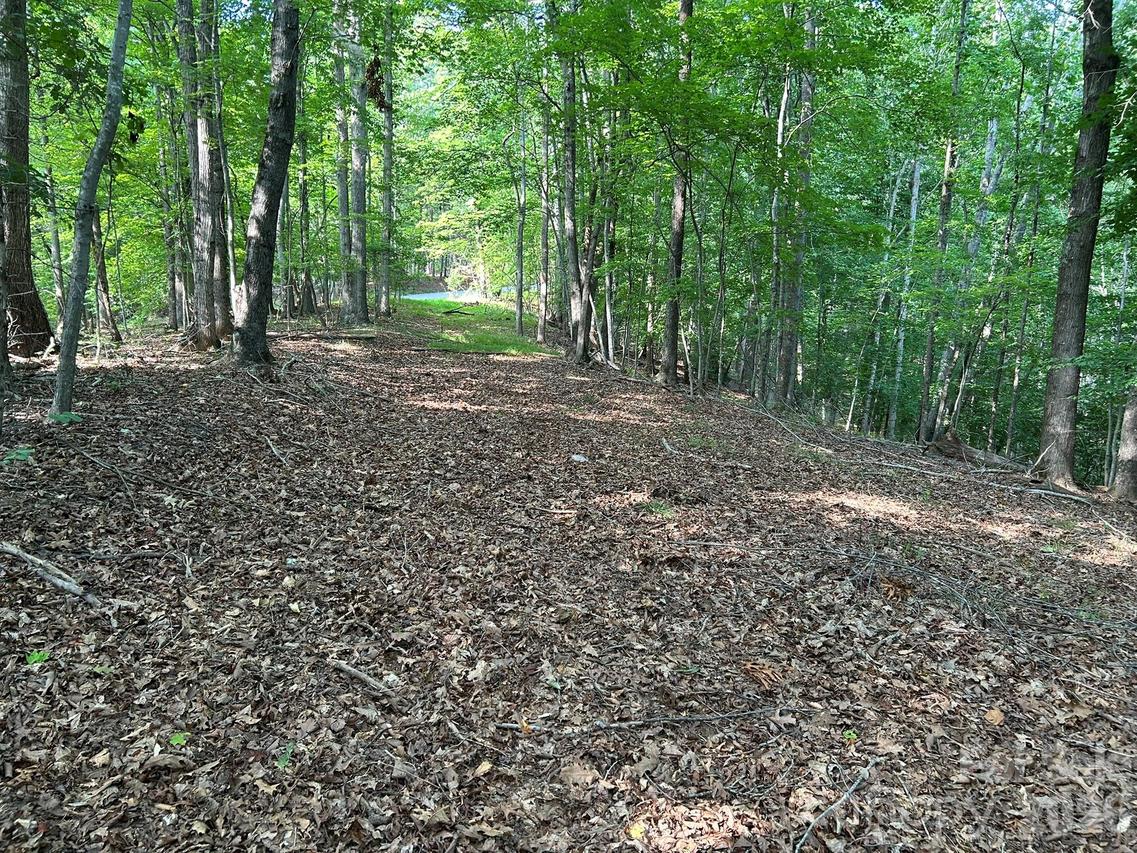 00 Wilderness Ridge, Rutherfordton, NC 28139